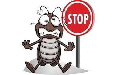 дезинфекция дома от клопов ош: Дезинфекция, дезинсекция, | Клопы, Блохи, Тараканы, | Транспорт, Офисы, Квартиры — 4