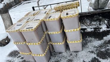 арзан товарлар: Продается мед Алтайский 100% натуральный, бумага из Лаборатория есть о — 2