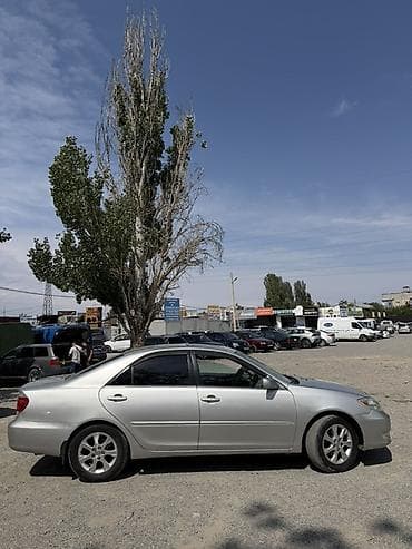 камри 1994: Toyota Camry: 2004 г., 3 л, Автомат, Бензин, Седан — 2