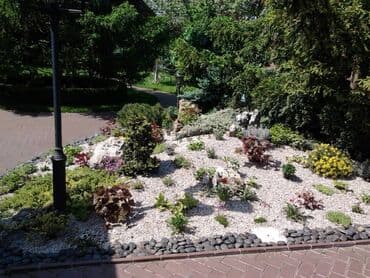 обмен на комнатные растения: Обрезка плодовых и декоративных деревьев, винограда,роз и других — 4