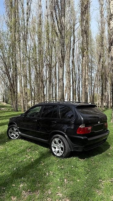 ско: BMW X5: 2003 г., 3 л, Автомат, Дизель, Кроссовер — 3