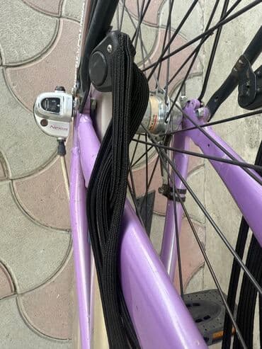 арендовать велосипед: Из Голандий — 6