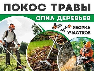 Косим траву Уборка участков Спил деревьев Цена договорная 🤝 Чоп