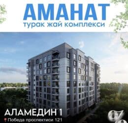 купить квартиру под самоотделку в бишкеке: 3 комнаты, 89 м², Элитка, 8 этаж, ПСО (под самоотделку) — 1