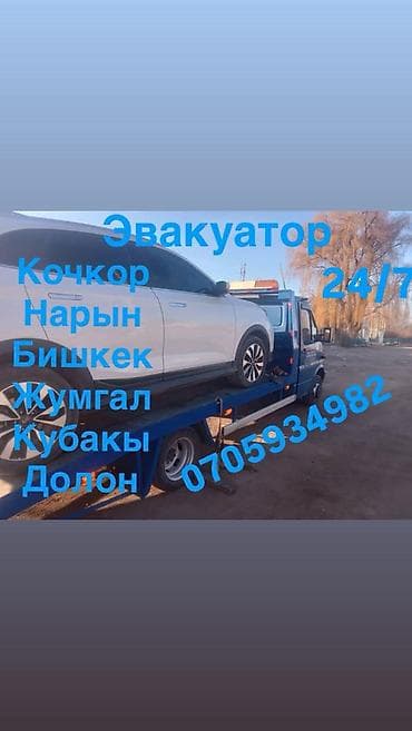 профессиональная покраска одежды бишкек: С лебедкой — 1