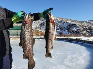 Требуется сотрудник: Ресторан, Оплата: Дважды в месяц