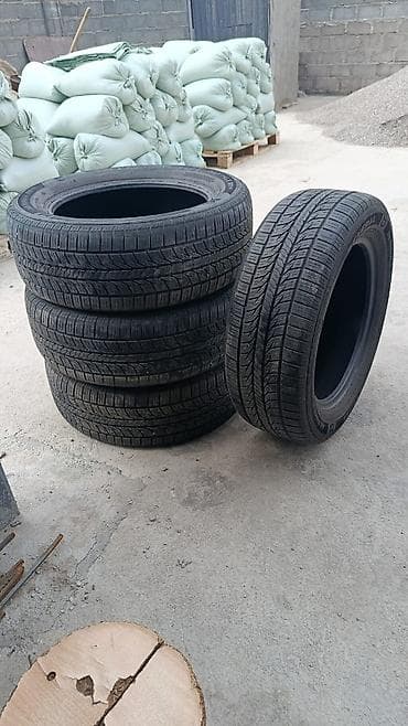 r18 255 55: Шины 225 / 60 / R 17, Лето, Б/у, Комплект, Легковые — 3