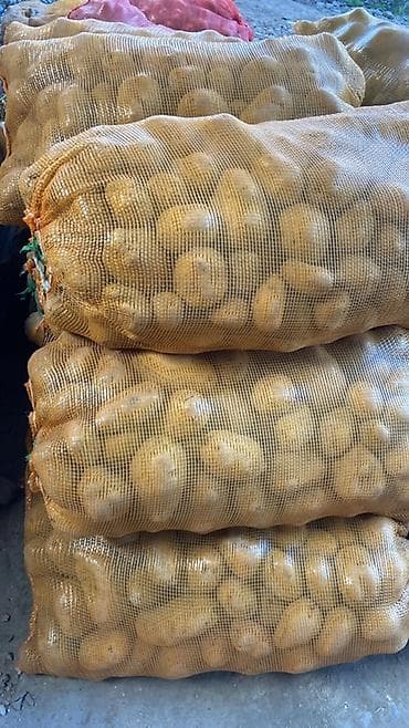 сетка мешки: Картошка — 1