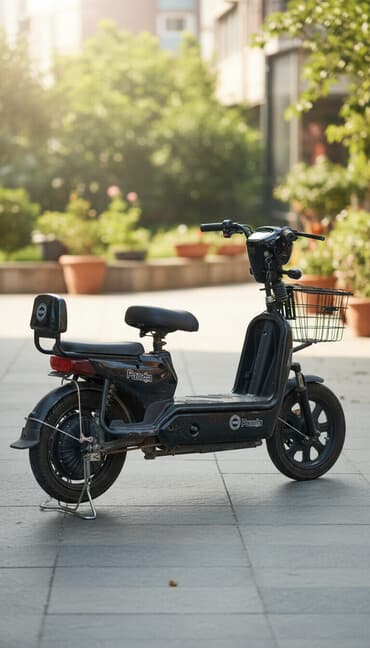 Электроскутер Panda (черный) - Компактный городской электроскутер с