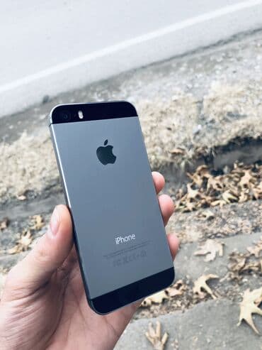 аудио системы: IPhone 5s, Б/у, 16 ГБ, Space Gray, Чехол — 1