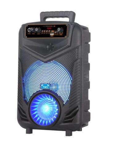 купить караоке колонку: Портативная караоке колонка NDR в трёх видах, P44, P55, P66. Стильная — 3