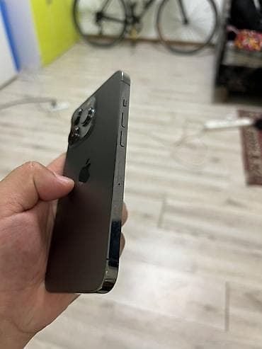 диспи: IPhone 13 Pro, Графит — 2