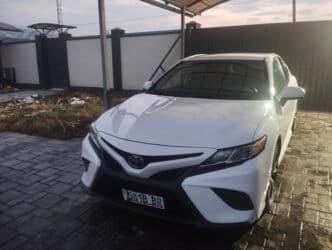 домкрат гидравлический для вытяжки авто: Toyota Camry: 2019 г., 2.5 л, Автомат, Бензин, Седан — 1