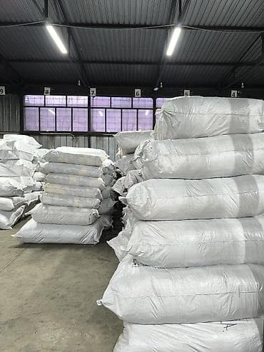 водитель грузовика: Грузовик — 1