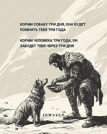 Услуги ветеринара: Услуги кинолога: дрессировка, коррекция поведения и социализация — 1