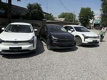 BYD: BYD : 2023 г., Электромобиль, Кроссовер — 3