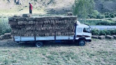 обмен на участок бишкек: Mercedes-Benz : 1993 г., 6 л, Механика, Дизель, Фургон — 3