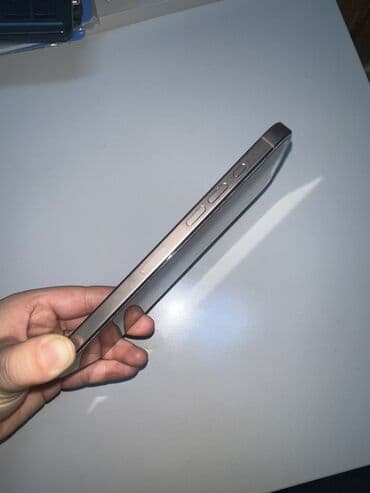 max: IPhone 16 Pro Max, Серебристый — 2