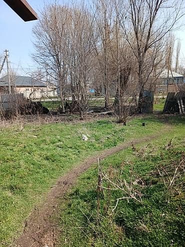 Земельные участки: 41 соток, Для бизнеса, Договор купли-продажи — 6