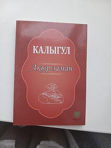 Калыгул Акыр заман жаны китеп 162 беттен турат