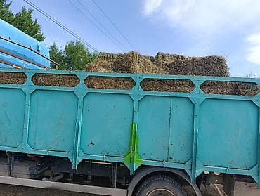 наполнитель тофу: 1 Чабык кос беде тук чоп Алам алам с поля куплю тюки — 1