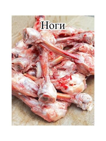 аквариум балыктары: Сөөктөр, 10 кг ашык, Акысыз жеткирүү, Акылуу жеткирүү — 3