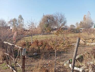 чистый дом: 5 соток, Красная книга — 6