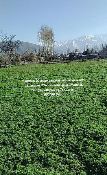 участки лебединовка: Продаю жилой дом из 3х комнат участок 40 соток в Беловодске село — 1