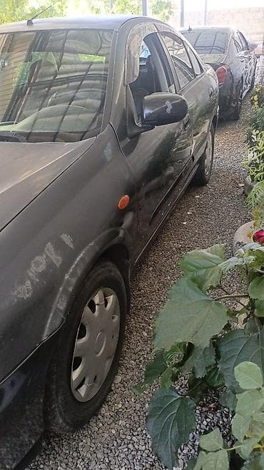 Продажа авто: Nissan Almera: 2004 г., 1.6 л, Механика, Бензин, Седан — 3