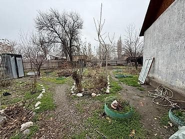 выбор: 18 соток — 2