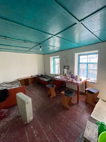 продажа домов в дмитриевке: 35 соток, Для сельского хозяйства, Красная книга — 18