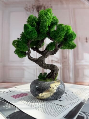 Деревья-бонсай из натурального стабилизированного мха🌳 -это