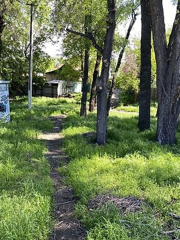 Аймактарды жыйнап тазалоо: Аймактарды жыйнап тазалоо, Газон чабуу — 5