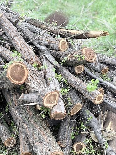 куры бройлеры: Дрова — 7