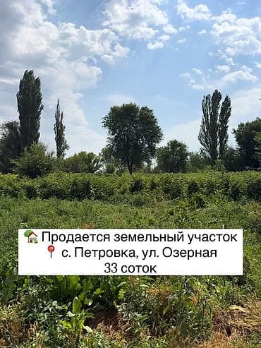 Кыймылсыз мүлк: 33 соток, Курулуш, Техпаспорт, Сатып алуу-сатуу келишими — 1