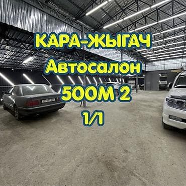участок обезной: Автосалон, С участком, 500 м²,Действующий, Частично с оборудованием, 1 линия — 1