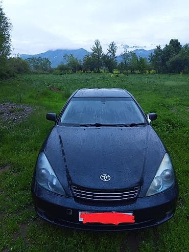 windom mcv30: Toyota Windom: 2003 г., 3 л, Автомат, Газ, Седан — 2