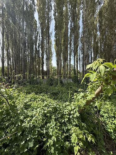 участки в токмаке: 9 соток, Для строительства, Красная книга, Тех паспорт — 8