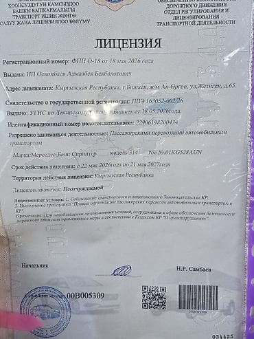 Транспорт: Пассажирский микроавтобус Mercedes‑Benz Sprinter (длинная база — 4