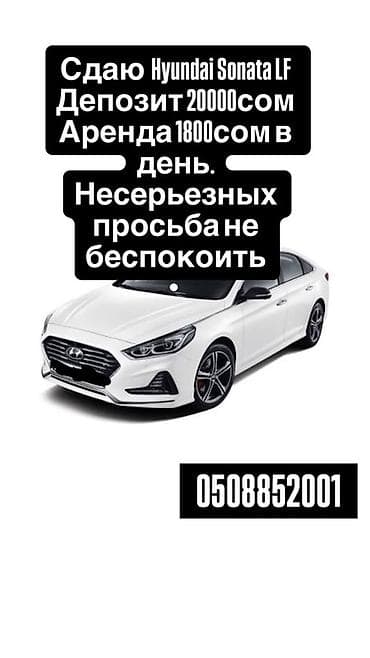 мишки на прокат: Сдаю Hyundai Sonata, Посуточно, Без водителя, | Залог — 1