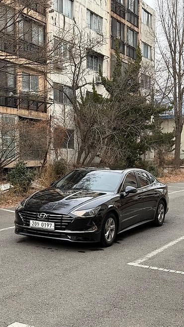 ка пять: Hyundai Sonata: 2019 г., 2 л, Автомат, Газ, Седан — 4