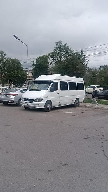 team terzo: Бус заказ — 2