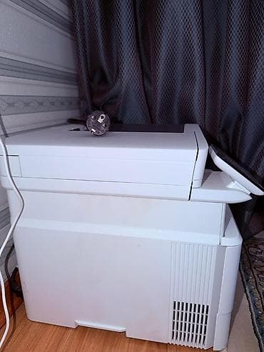 hp laserjet laserjet p4014dn: HP LaserJet Pro MFP 4103fdn — высокопроизводительное монохромное — 2