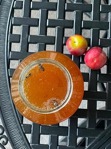 🐝 ГОРНЫЙ МЁД С СОБСТВЕННОЙ ПАСЕКИ Ущелье Ала-Арча 🍯 100% натуральный — 1