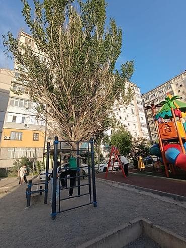 80: 1 комната, 33 м², 105 серия, 4 этаж — 6