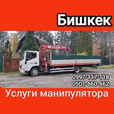 Стрела 10 м, 5 т, Борт 8000 кг