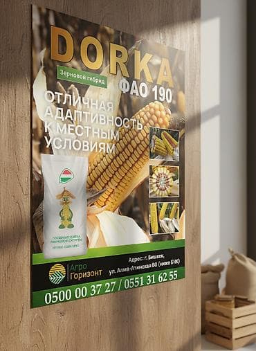 В наличии семена раннего гибрида кукурузы: - DORKA (ФАО 190) Гибрид