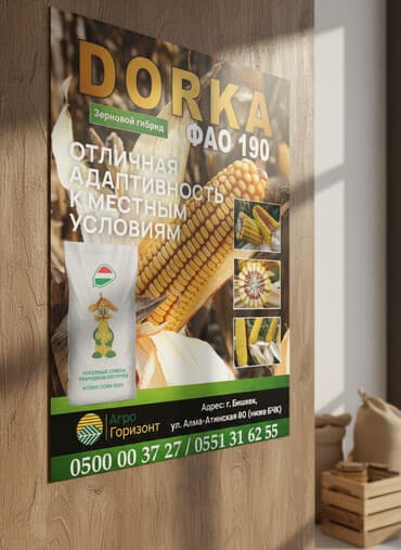 семена арпа: В наличии семена ранних гибридов кукурузы: - DORKA (ФАО 190) - ZORA — 3