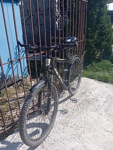 r17 23545: Горный велосипед, Рама L (172 - 185 см), Алюминий — 1