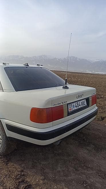 nardo grey: Audi 100: 1991 г., 2.3 л, Механика, Бензин, Седан — 6